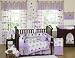 Purple and Brown Modern Polka Dot Baby Bedding 9pc Crib Set