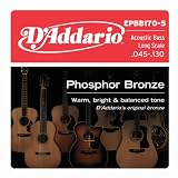 51lhDAUx5 L. SL160  Buy D Addario EPBB Guitar Strings