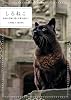 しろねこ　英国の古城に暮らす猫を訪ねて