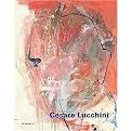 Cesare Lucchini (Was bleibt/ Quel che rimane/ What Remains Malerei/ Dipinti/ Paintings) (Hardcover)