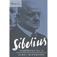 Sibelius: Symphony No. 5 (Cambridge Music Handbooks)