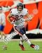 Greg Olsen Chicago Bears 8x10 Photo