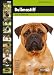 Bullmastiff: Dog Breed Expert Series