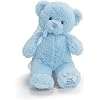 Gund 25.5cm My First Teddy for Newborn and Above (Blue)