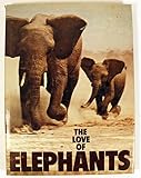 The love of elephants