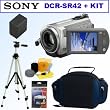 Sony DCR-SR42 30GB Hard Disk Drive Handycam Camcorder + Accessory Kit