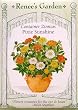 Container Zinnias Pixie Sunshine Seeds