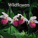 Wildflowers 2009 7X7 Mini Wall Calendar