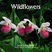 Wildflowers 2009 7X7 Mini Wall Calendar