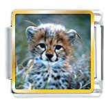 Baby Cheetah Cub Animal Photo Italian Charms Bracelet Link