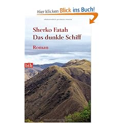 Das dunkle Schiff: Roman