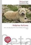 Volpino Italiano