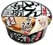 日清 どん兵衛 きつねうどん東 96g×12個