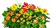 AeroGarden 3-Pod Seed Kit Splash of Color Flowers