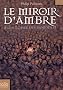 A la crois�e des mondes, Tome 3 : Le miroir d'ambre
