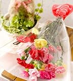�y5/7~5/10�̂����ꂩ�ɂ��͂��z��̓��J�[�l�[�V�����ԑ��E�n�b�s�[�}�~�[ 21%OFF��������������ɑ���ԑ�2009