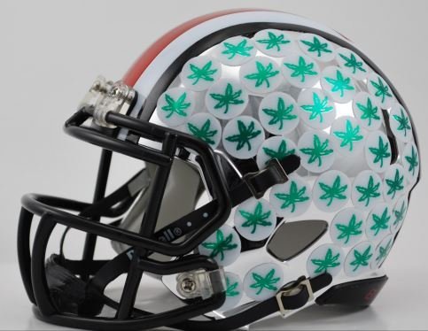 OHIO STATE BUCKEYES NCAA Riddell Revolution SPEED Mini Football Helmet HYDROFX (CHROME) OHIO STATE BUCKEYES NCAA Riddell Revolution SPEED Mini Football Helmet HYDROFX (CHROME)