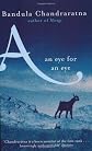 An Eye for an Eye