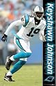 Carolina Panthers (Keyshawn Johnson) Sports Poster Print - 24" X 36"