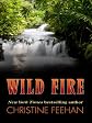 Wild Fire (Thorndike Press Large Print Romance Series)