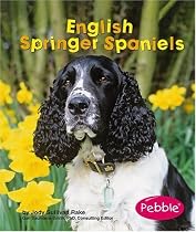 English Springer Spaniels (Dogs (Pebble))