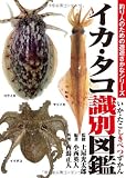 イカ・タコ識別図鑑 (釣り人のための遊遊さかなシリーズ)
