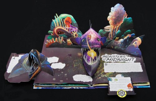Cover image : Wild Oceans: A Pop-up Book with Revolutionary Technology