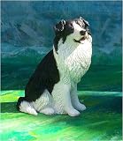 BORDER COLLIE Dog FIGURINE Sits Pretty RESIN 506