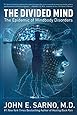 The Divided Mind: The Epidemic of Mindbody Disorders