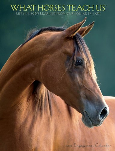 What Horses Teach Us 2015 Engagement Calendar