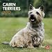 Cairn Terriers 2012 Square 12X12 Wall Calendar (Multilingual Edition)