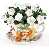 Gifts & Decor Butterfly Print Teacup Saucer Decorative Garden Planter