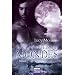Im Bannkreis des Mondes: Roman: Historischer Liebesroman