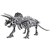 Magnext Magna Bones Tri-Top