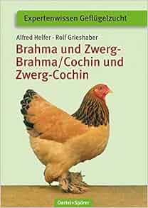 Prints - $200 and less on Pinterest | London, Dictionary Words and New ... Brahma und Zwerg-Brahma, Cochin und Zwerg-Cochin: 9783886275472 ...