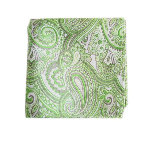 100% Woven Silk Apple Check Me Out Paisley Pocket Square