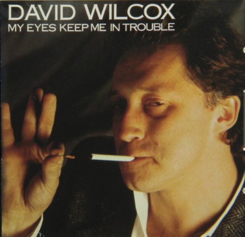 DAVID WILCOX - The Eyes Keep Me In Trouble - Zortam Music