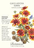 Amazon / Hirts: Seed; Blanket Flower: Goblin Blanket Flower Seeds - 300 mg - Gaillardia