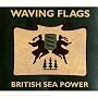 Waving Flags