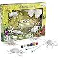 Paint and Play Insect Set