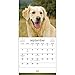 2015 Goldens Wall Calendar Trends International