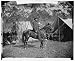[Antietam, Md. Allan Pinkerton (