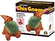 Chia Gnome