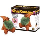 Chia Gnome