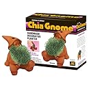 Chia Gnome