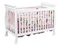 DaVinci Reagan 4 in 1 Crib