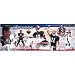 Drew Bledsoe Buffalo Bills Panoramic Autographed Photograph