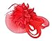 Anita Women's fascinators Small hairpin feather hat
