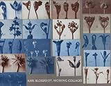 Karl Blossfeldt: Working Collages