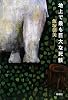 地上で最も巨大な死骸